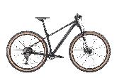 Велосипед горный Hagen Three Nine 3.9  d-29 1x9 (2024) XL Черный Tanwall