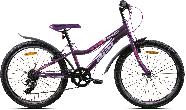 Велосипед подростковый Aist Rosy Junior 1.0 d-24 1x6 (2024) 13" фиолетовый QR